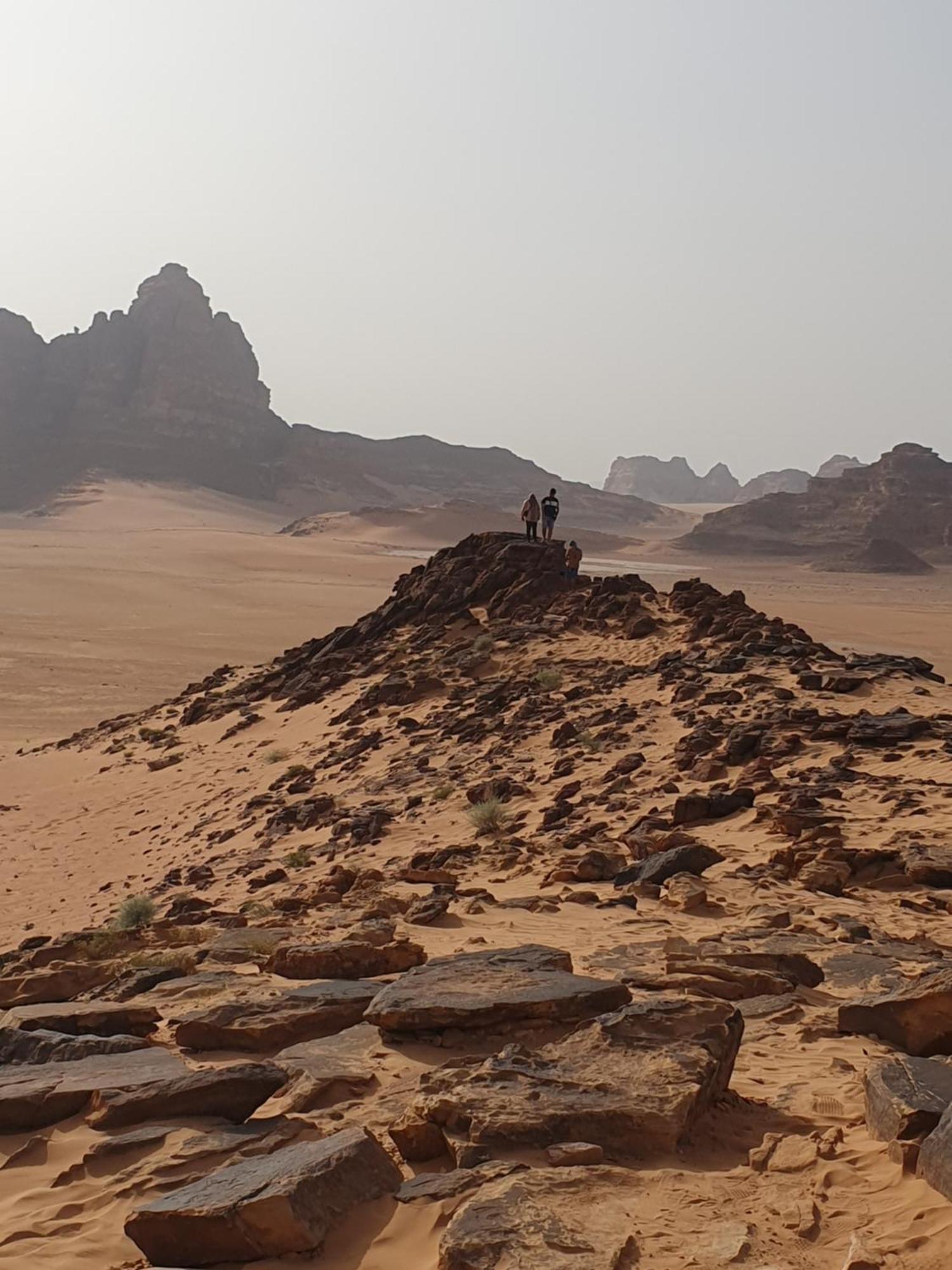 דירות עקבה Bedouin Experiences מראה חיצוני תמונה